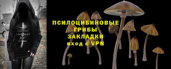 гашик Вяземский