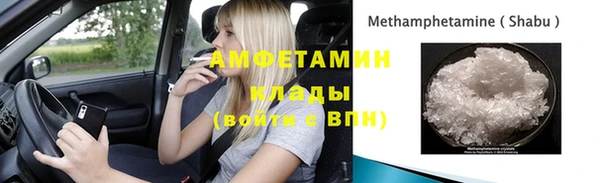 гашик Вяземский