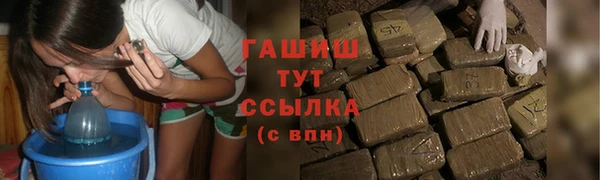 гашик Вяземский