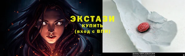 гашик Вяземский