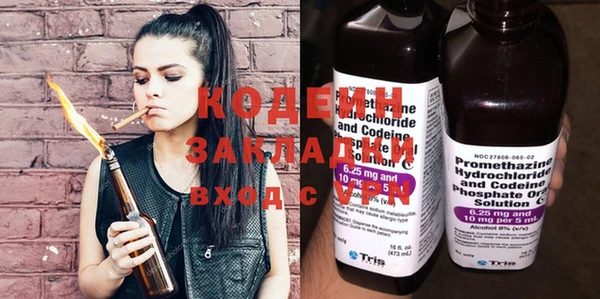 гашик Вяземский