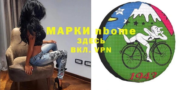 гашик Вяземский