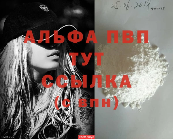 гашик Вяземский