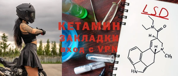гашик Вяземский